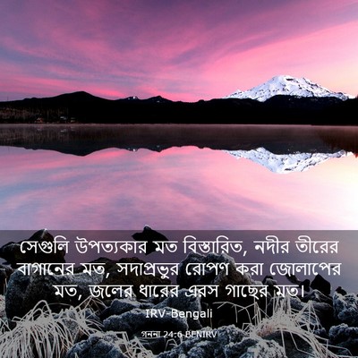 Picture 03 - গননা 24:6 BENIRV - সেগুলি উপত্যকার - Bible Verse Picture