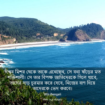 Picture 03 - গননা 24:8 BENIRV - ঈশ্বর মিশর থেকে - Bible Verse Picture