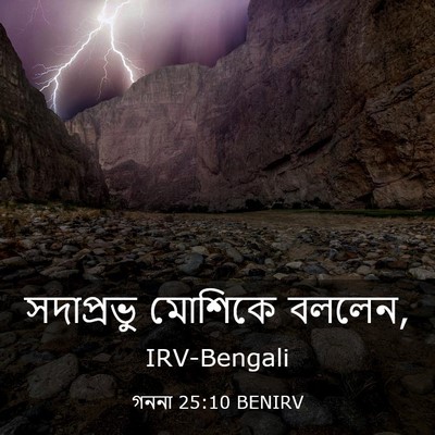Picture 03 - গননা 25:10 BENIRV - সদাপ্রভু মোশিকে - Bible Verse Picture