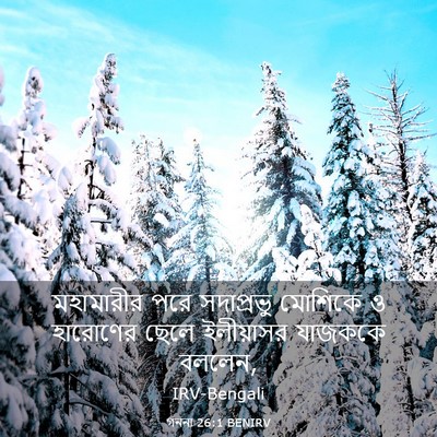 Picture 03 - গননা 26:1 BENIRV - মহামারীর পরে - Bible Verse Picture
