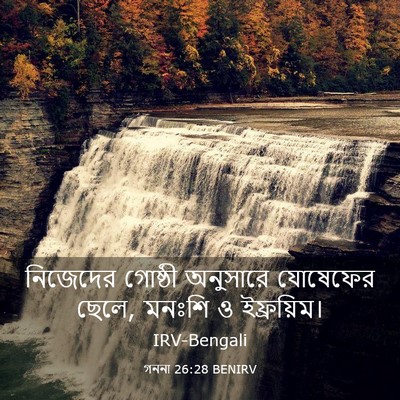 Picture 03 - গননা 26:28 BENIRV - নিজেদের গোষ্ঠী - Bible Verse Picture