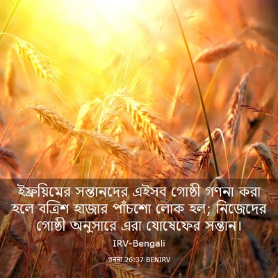 Picture 03 - গননা 26:37 BENIRV - ইফ্রয়িমের - Bible Verse Picture