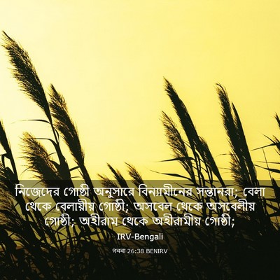 Picture 03 - গননা 26:38 BENIRV - নিজেদের গোষ্ঠী - Bible Verse Picture
