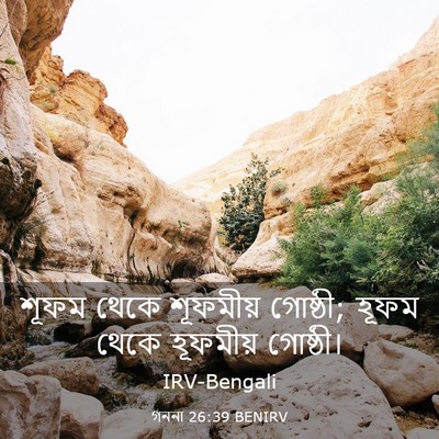 Picture 03 - গননা 26:39 BENIRV - শূফম থেকে শূফমীয় - Bible Verse Picture