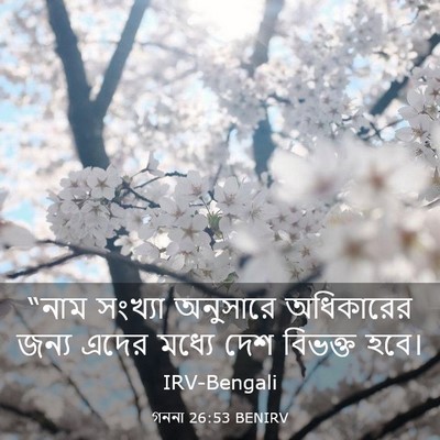 Picture 03 - গননা 26:53 BENIRV - “নাম সংখ্যা - Bible Verse Picture