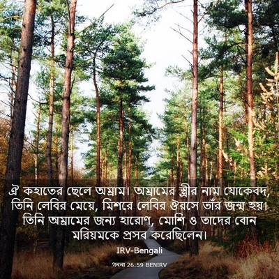 Picture 03 - গননা 26:59 BENIRV - ঐ কহাতের ছেলে - Bible Verse Picture