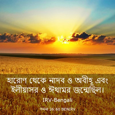 Picture 03 - গননা 26:60 BENIRV - হারোণ থেকে নাদব ও - Bible Verse Picture