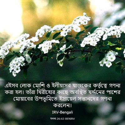 Picture 03 - গননা 26:63 BENIRV - এইসব লোক মোশি ও - Bible Verse Picture
