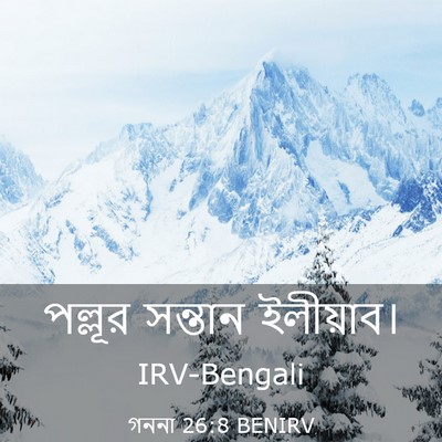 Picture 03 - গননা 26:8 BENIRV - পল্লূর সন্তান - Bible Verse Picture