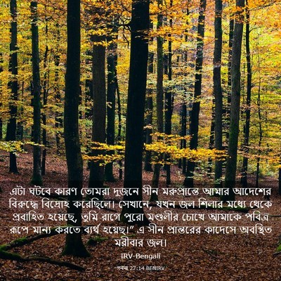 Picture 03 - গননা 27:14 BENIRV - এটা ঘটবে কারণ - Bible Verse Picture