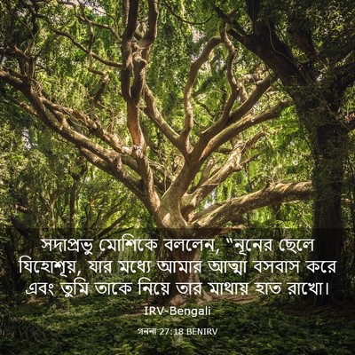 Picture 03 - গননা 27:18 BENIRV - সদাপ্রভু মোশিকে - Bible Verse Picture