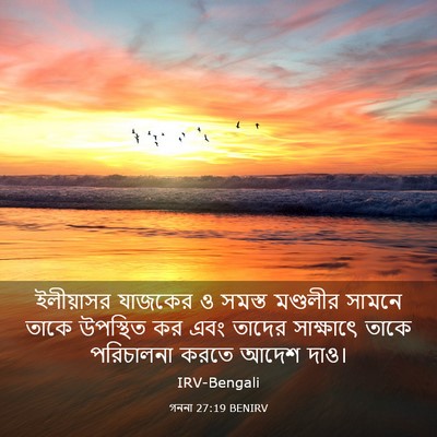 Picture 03 - গননা 27:19 BENIRV - ইলীয়াসর যাজকের ও - Bible Verse Picture