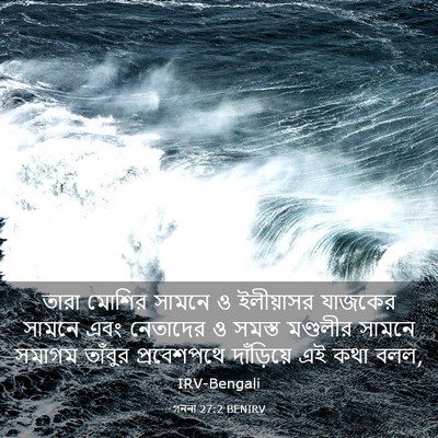 Picture 03 - গননা 27:2 BENIRV - তারা মোশির সামনে ও - Bible Verse Picture