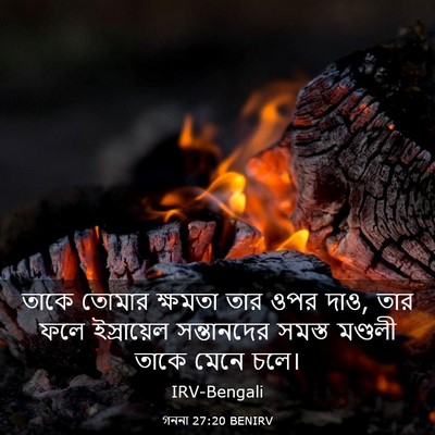 Picture 03 - গননা 27:20 BENIRV - তাকে তোমার ক্ষমতা - Bible Verse Picture