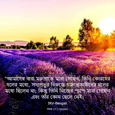 Picture 03 - গননা 27:3 BENIRV - “আমাদের বাবা - Bible Verse Picture