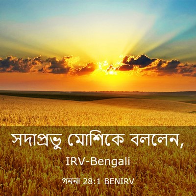 Picture 03 - গননা 28:1 BENIRV - সদাপ্রভু মোশিকে - Bible Verse Picture