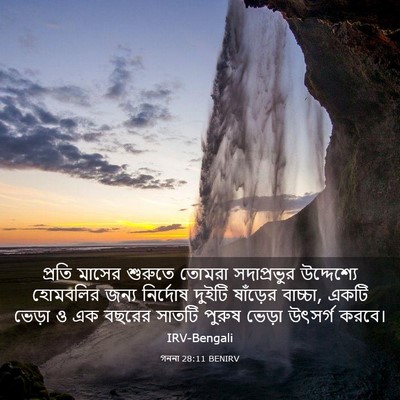 Picture 03 - গননা 28:11 BENIRV - প্রতি মাসের - Bible Verse Picture