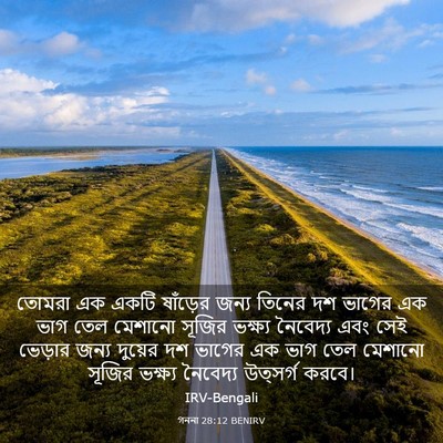 Picture 03 - গননা 28:12 BENIRV - তোমরা এক একটি - Bible Verse Picture
