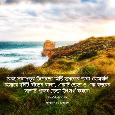 Picture 03 - গননা 28:27 BENIRV - কিন্তু সদাপ্রভুর - Bible Verse Picture