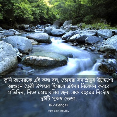Picture 03 - গননা 28:3 BENIRV - তুমি তাদেরকে এই - Bible Verse Picture