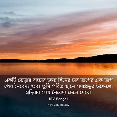 Picture 03 - গননা 28:7 BENIRV - একটি ভেড়ার - Bible Verse Picture