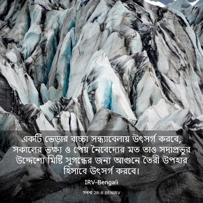 Picture 03 - গননা 28:8 BENIRV - একটি ভেড়ার - Bible Verse Picture