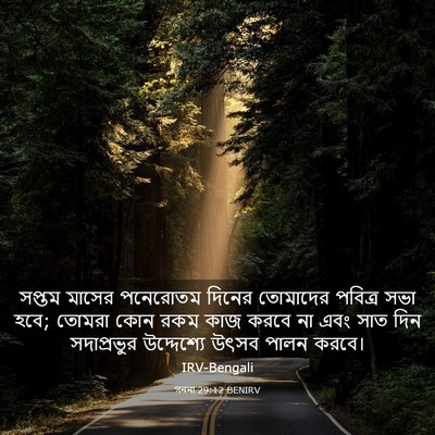 Picture 03 - গননা 29:12 BENIRV - সপ্তম মাসের - Bible Verse Picture