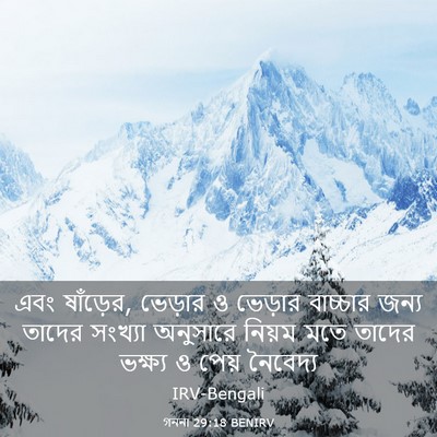 Picture 03 - গননা 29:18 BENIRV - এবং ষাঁড়ের, - Bible Verse Picture