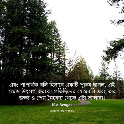 Picture 03 - গননা 29:19 BENIRV - এবং পাপার্থক বলি - Bible Verse Picture