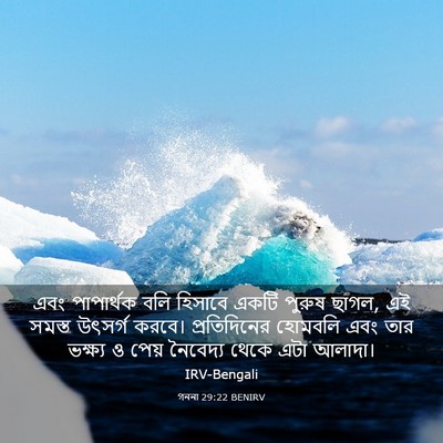 Picture 03 - গননা 29:22 BENIRV - এবং পাপার্থক বলি - Bible Verse Picture