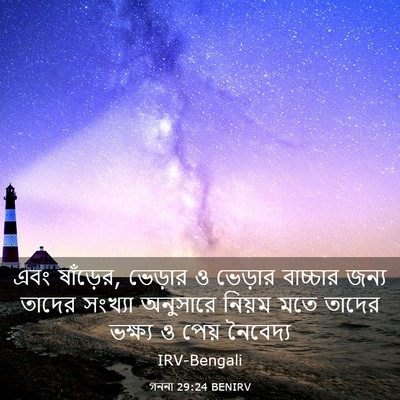 Picture 03 - গননা 29:24 BENIRV - এবং ষাঁড়ের, - Bible Verse Picture