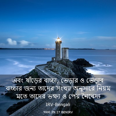 Picture 03 - গননা 29:27 BENIRV - এবং ষাঁড়ের - Bible Verse Picture