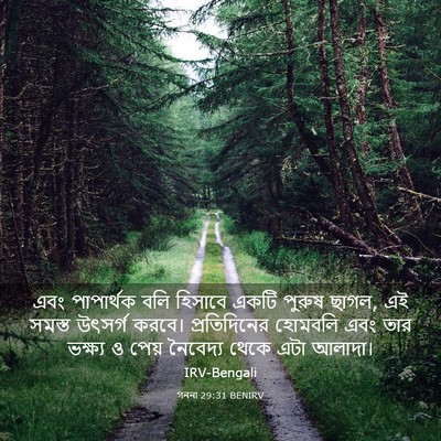 Picture 03 - গননা 29:31 BENIRV - এবং পাপার্থক বলি - Bible Verse Picture