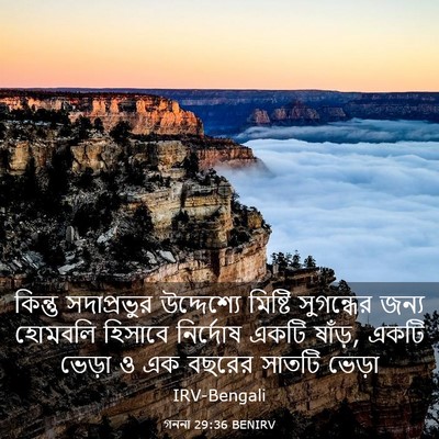 Picture 03 - গননা 29:36 BENIRV - কিন্তু সদাপ্রভুর - Bible Verse Picture