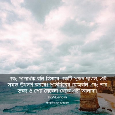 Picture 03 - গননা 29:38 BENIRV - এবং পাপার্থক বলি - Bible Verse Picture