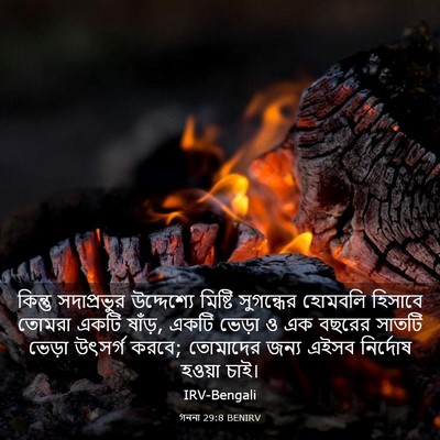 Picture 03 - গননা 29:8 BENIRV - কিন্তু সদাপ্রভুর - Bible Verse Picture