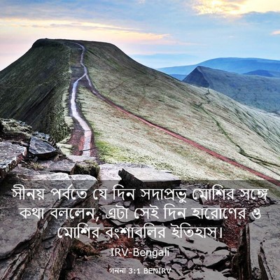 Picture 03 - গননা 3:1 BENIRV - সীনয় পর্বতে যে - Bible Verse Picture