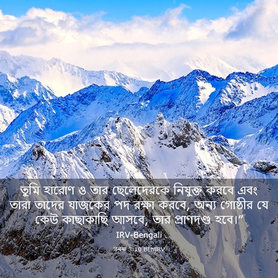 Picture 03 - গননা 3:10 BENIRV - তুমি হারোণ ও তার - Bible Verse Picture