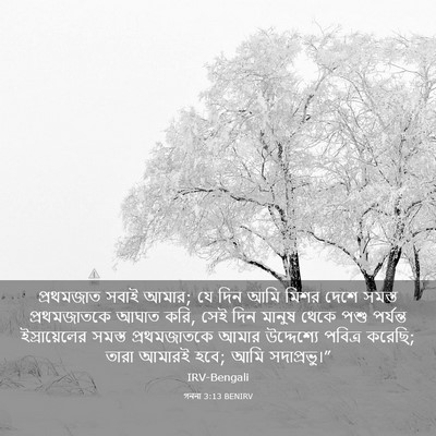 Picture 03 - গননা 3:13 BENIRV - প্রথমজাত সবাই - Bible Verse Picture