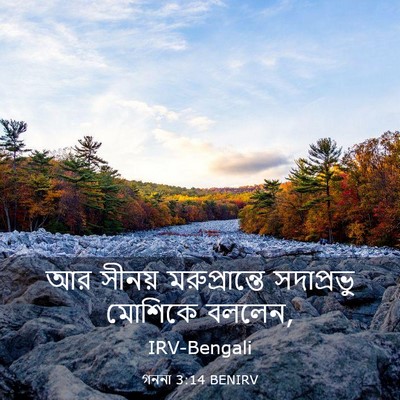 Picture 03 - গননা 3:14 BENIRV - আর সীনয় - Bible Verse Picture
