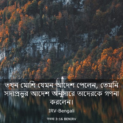 Picture 03 - গননা 3:16 BENIRV - তখন মোশি যেমন আদেশ - Bible Verse Picture