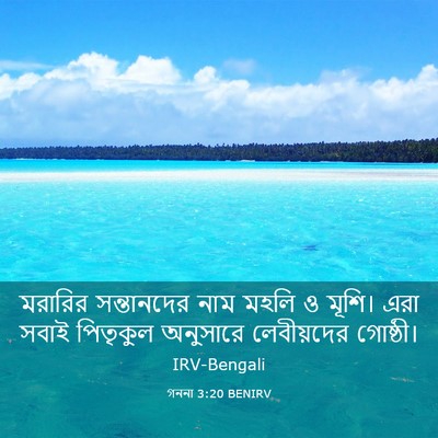 Picture 03 - গননা 3:20 BENIRV - মরারির সন্তানদের - Bible Verse Picture