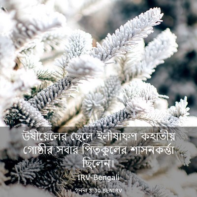 Picture 03 - গননা 3:30 BENIRV - উষীয়েলের ছেলে - Bible Verse Picture
