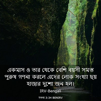 Picture 03 - গননা 3:34 BENIRV - একমাস ও তার থেকে - Bible Verse Picture
