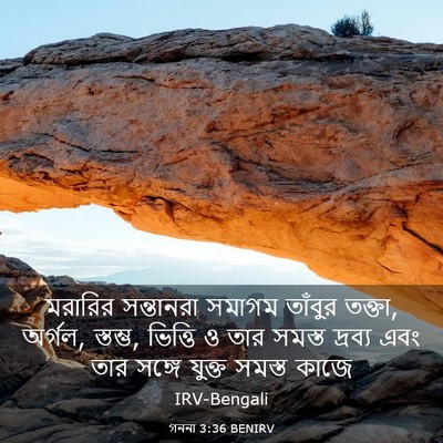 Picture 03 - গননা 3:36 BENIRV - মরারির সন্তানরা - Bible Verse Picture