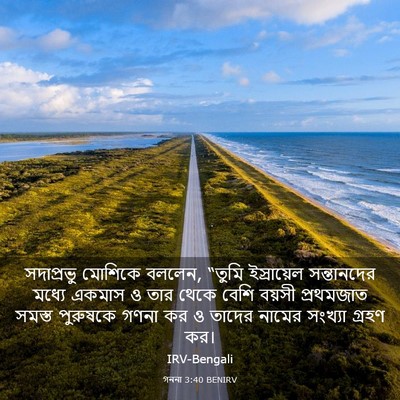 Picture 03 - গননা 3:40 BENIRV - সদাপ্রভু মোশিকে - Bible Verse Picture