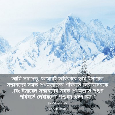 Picture 03 - গননা 3:41 BENIRV - আমি সদাপ্রভু, - Bible Verse Picture