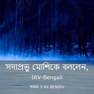 Picture 03 - গননা 3:44 BENIRV - সদাপ্রভু মোশিকে - Bible Verse Picture