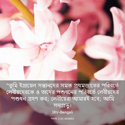Picture 03 - গননা 3:45 BENIRV - “তুমি ইস্রায়েল - Bible Verse Picture