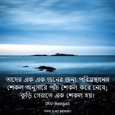 Picture 03 - গননা 3:47 BENIRV - তাদের এক এক জনের - Bible Verse Picture